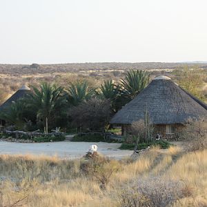 Hunting Accommodation Westfalen Hunting Safaris