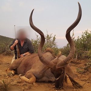 South Africa Kudu Hunting