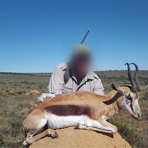 Hunt Springbok South Africa