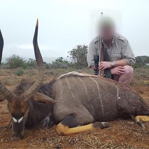 Nyala Hunt South Africa