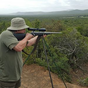 Hunting from Shooting Stick