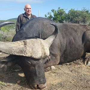 Hunting Buffalo South Africa