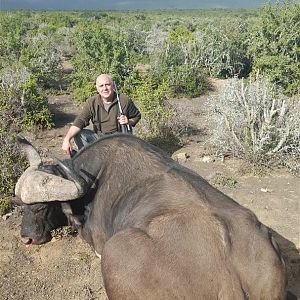 Hunting Buffalo South Africa