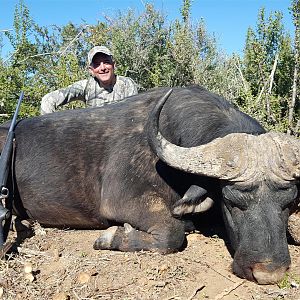 Hunting Buffalo South Africa