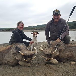 Warthog Hunting in South Africa