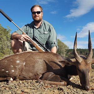 Bushbuck  Hunting South Africa