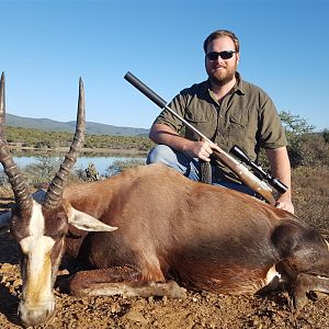 Hunting Blesbok South Africa