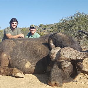 Hunting Buffalo South Africa