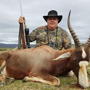 Hunting Blesbok South Africa