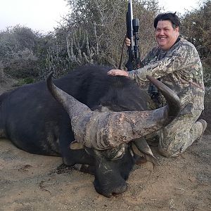 Hunting Buffalo South Africa