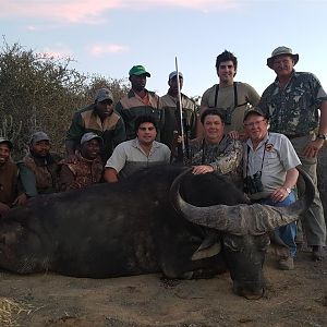 Hunting Buffalo South Africa