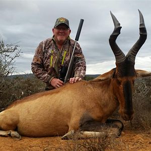 Red Hartebeest Hunt South Africa