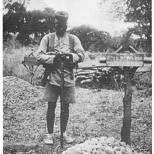 F.C Selous Grave