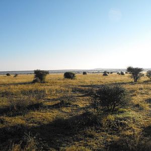 Terrain and sightings Hartzview Hunting Safaris