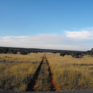 Terrain and sightings Hartzview Hunting Safaris