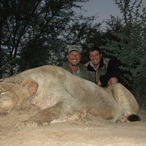 Lioness Hunt in South Africa