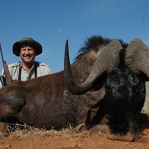 Hunt Black Wildebeest South Africa