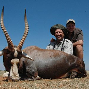 Hunting Blesbok South Africa