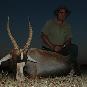 Hunting Blesbok South Africa