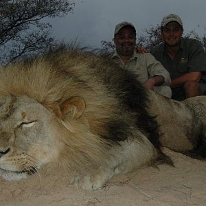 Hunting Lion in South Africa