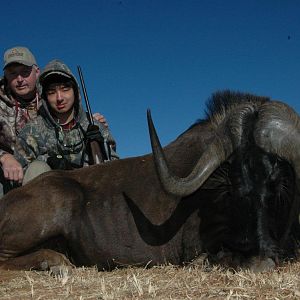 Hunt Black Wildebeest South Africa