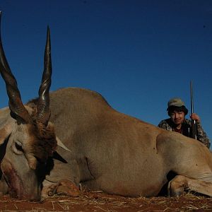 South Africa Hunting Eland