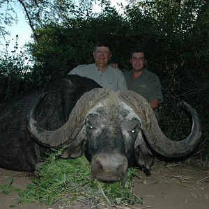 Hunting Buffalo South Africa