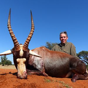 Hunting Blesbok South Africa