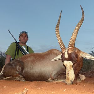 Hunting Blesbok South Africa