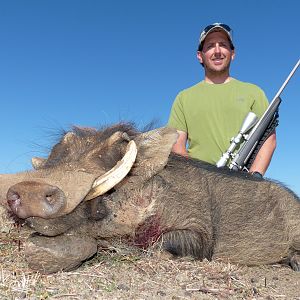 South Africa Warthog Hunt