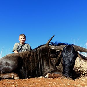 South Africa Blue Wildebeest Hunting