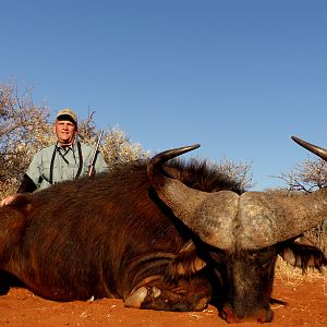 Hunting Buffalo South Africa