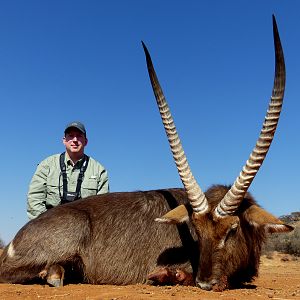 Waterbuck South Africa Hunt