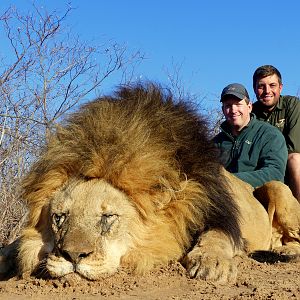 Hunting Lion in South Africa