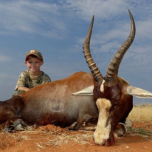 Hunting Blesbok South Africa