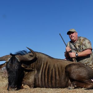 South Africa Blue Wildebeest Hunting