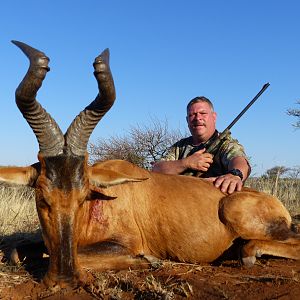 Red Hartebeest Hunt South Africa