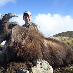 New Zealand Tahr Hunt