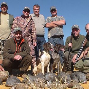 Guineafowl & Hare Hunting South Africa