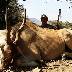 South Africa Bow Hunting Eland