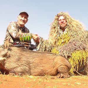 South Africa Warthog Bow Hunt