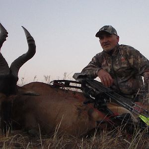 Red Hartebeest Bow Hunt South Africa