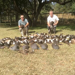 South Africa Wing Shooting