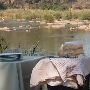 Lunch by the River