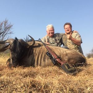 South Africa Blue Wildebeest Hunting