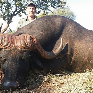 Hunting Buffalo South Africa