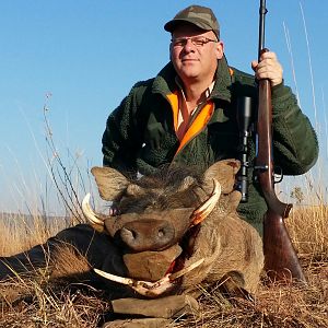 South Africa Warthog Hunt