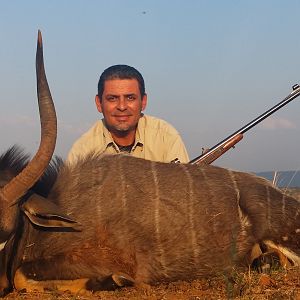 Nyala Hunt South Africa