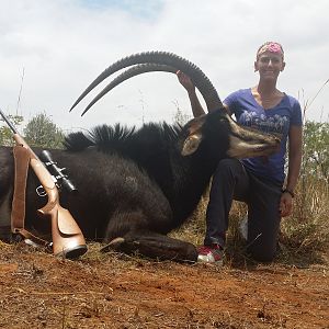 Sable Hunting in South Africa