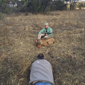 South Africa Warthog Hunt